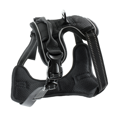 Rambler Front Range Harness L