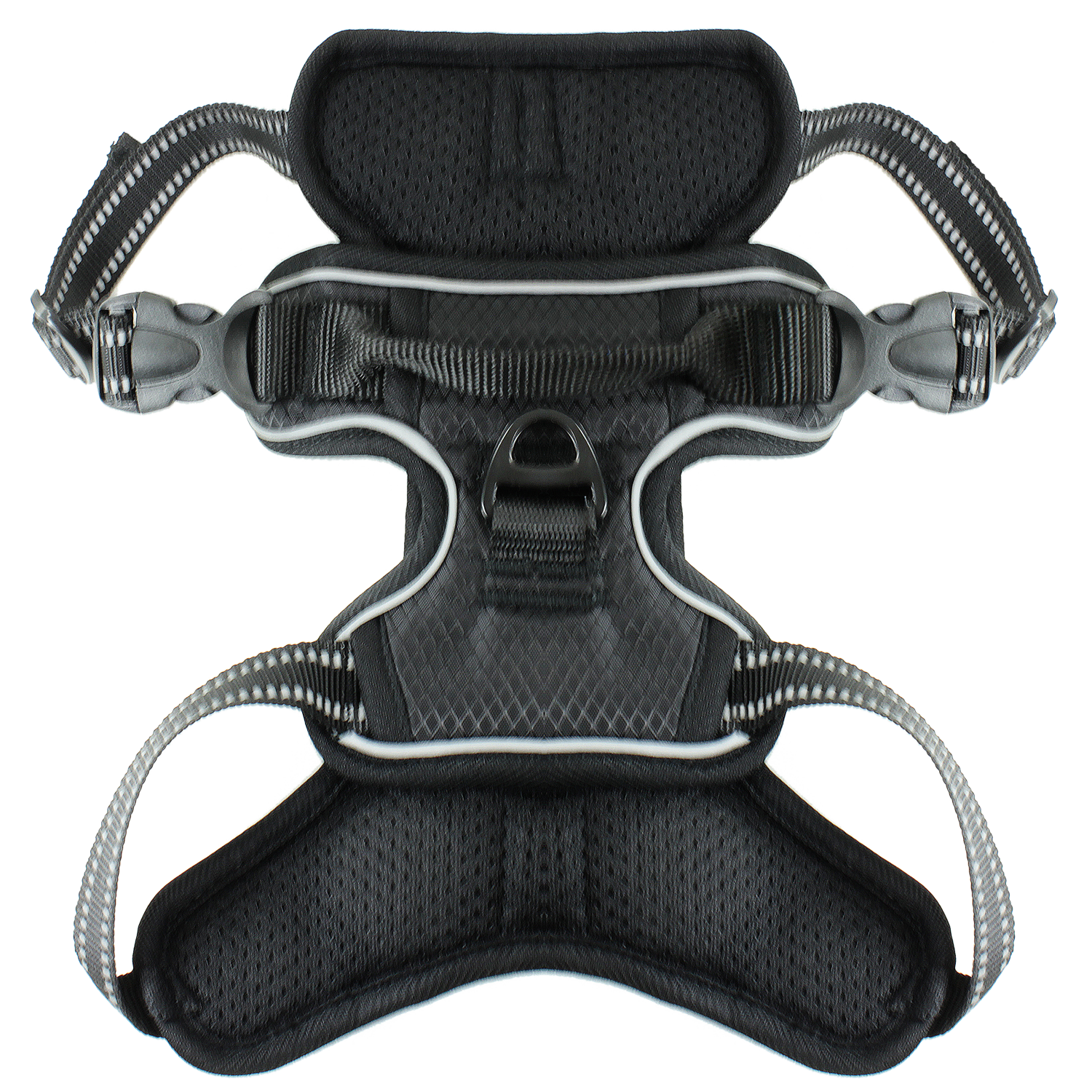 Rambler Front Range Harness