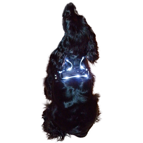 Rambler LED Front Range Harness L