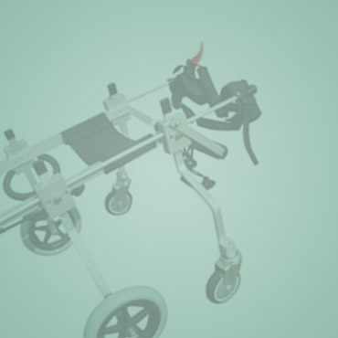 Quad Support/Full Support